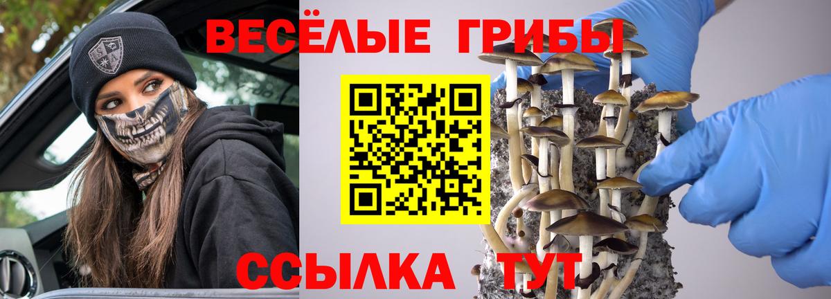 Галлюциногенные грибы мухоморы Чита
