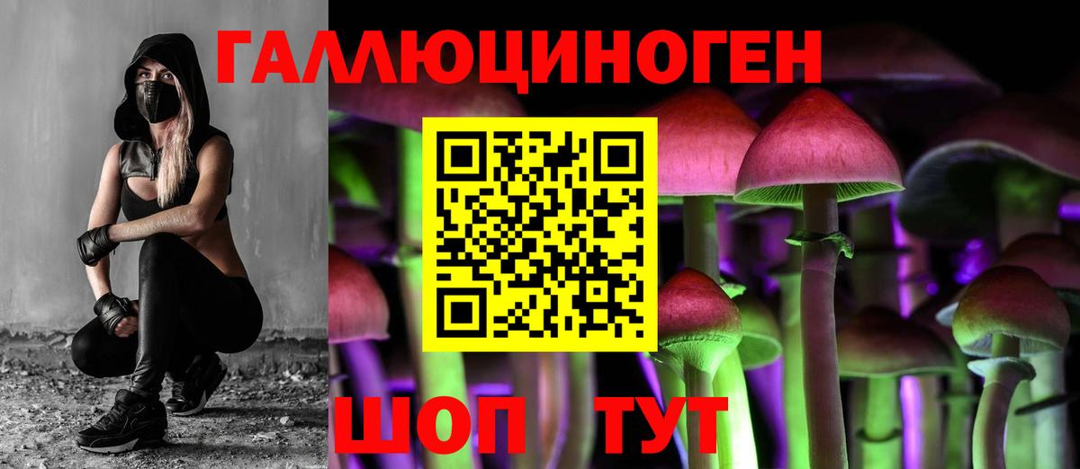 Галлюциногенные грибы MAGIC MUSHROOMS  дарнет шоп  Чита  Вход с VPN 