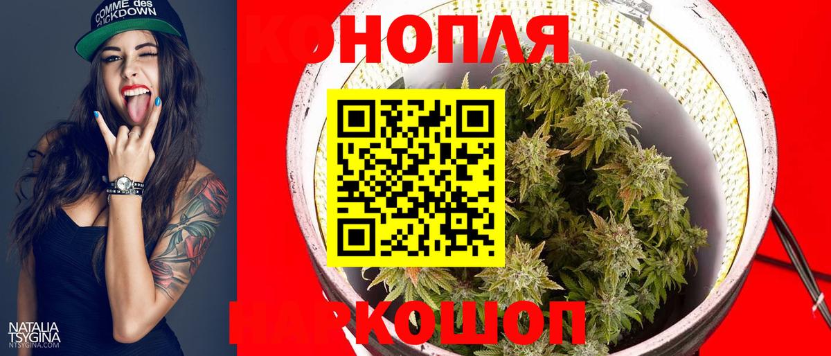 Марихуана индика Чита